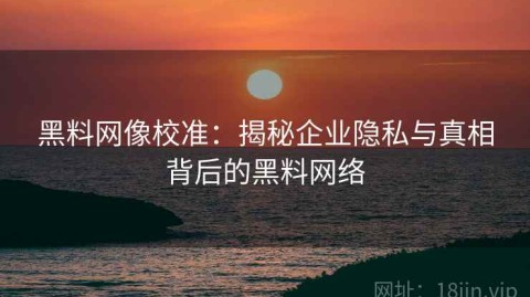 黑料网像校准：揭秘企业隐私与真相背后的黑料网络