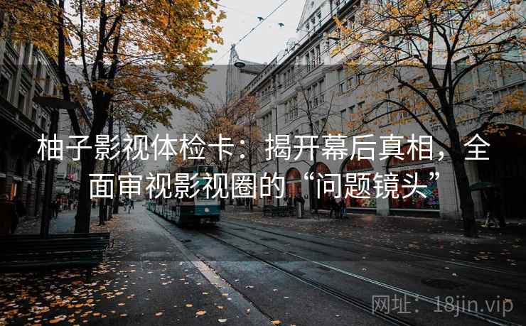 柚子影视体检卡：揭开幕后真相，全面审视影视圈的“问题镜头”